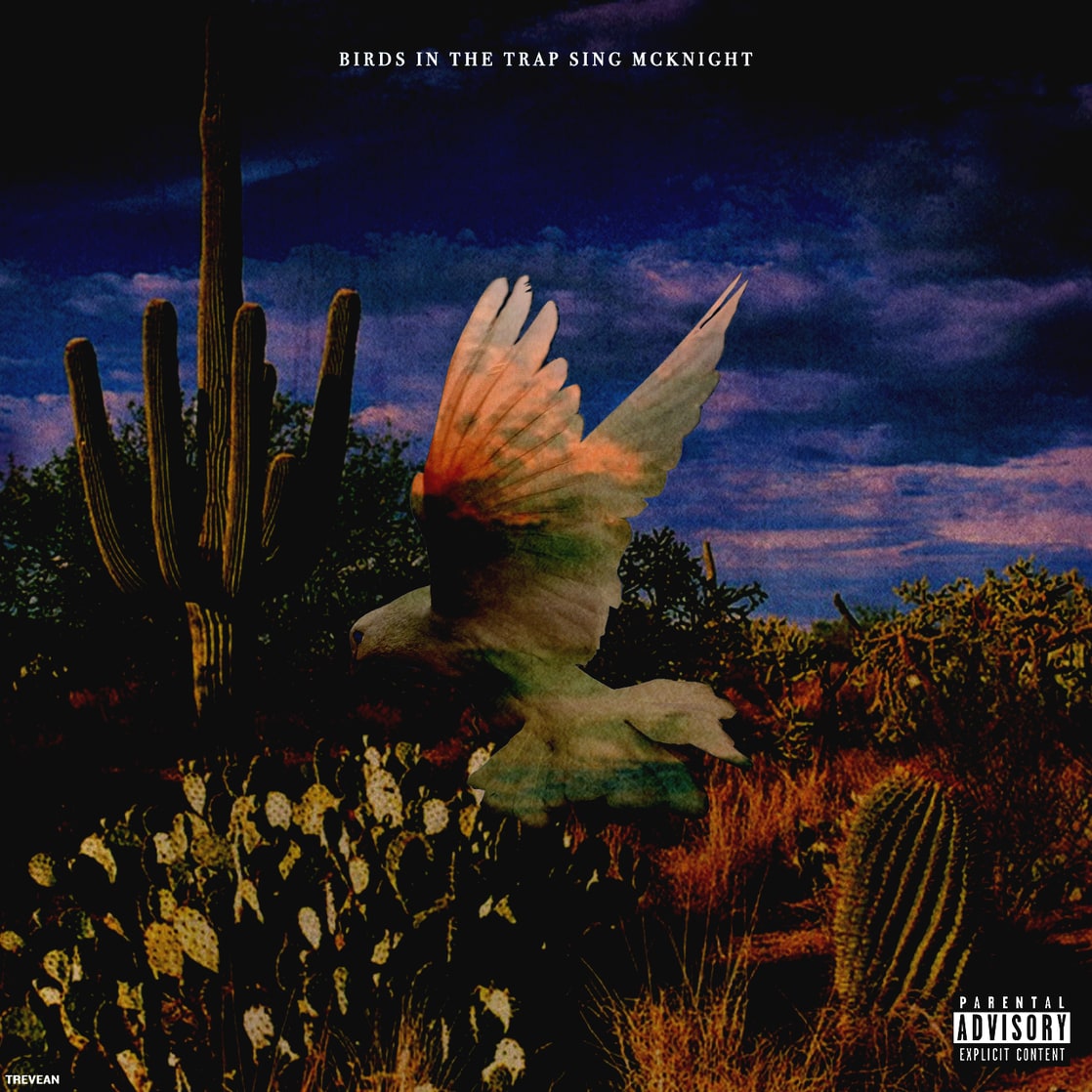 14+ Birds In The Trap Sing Mcknight Album Cover 1000X1000 Gif